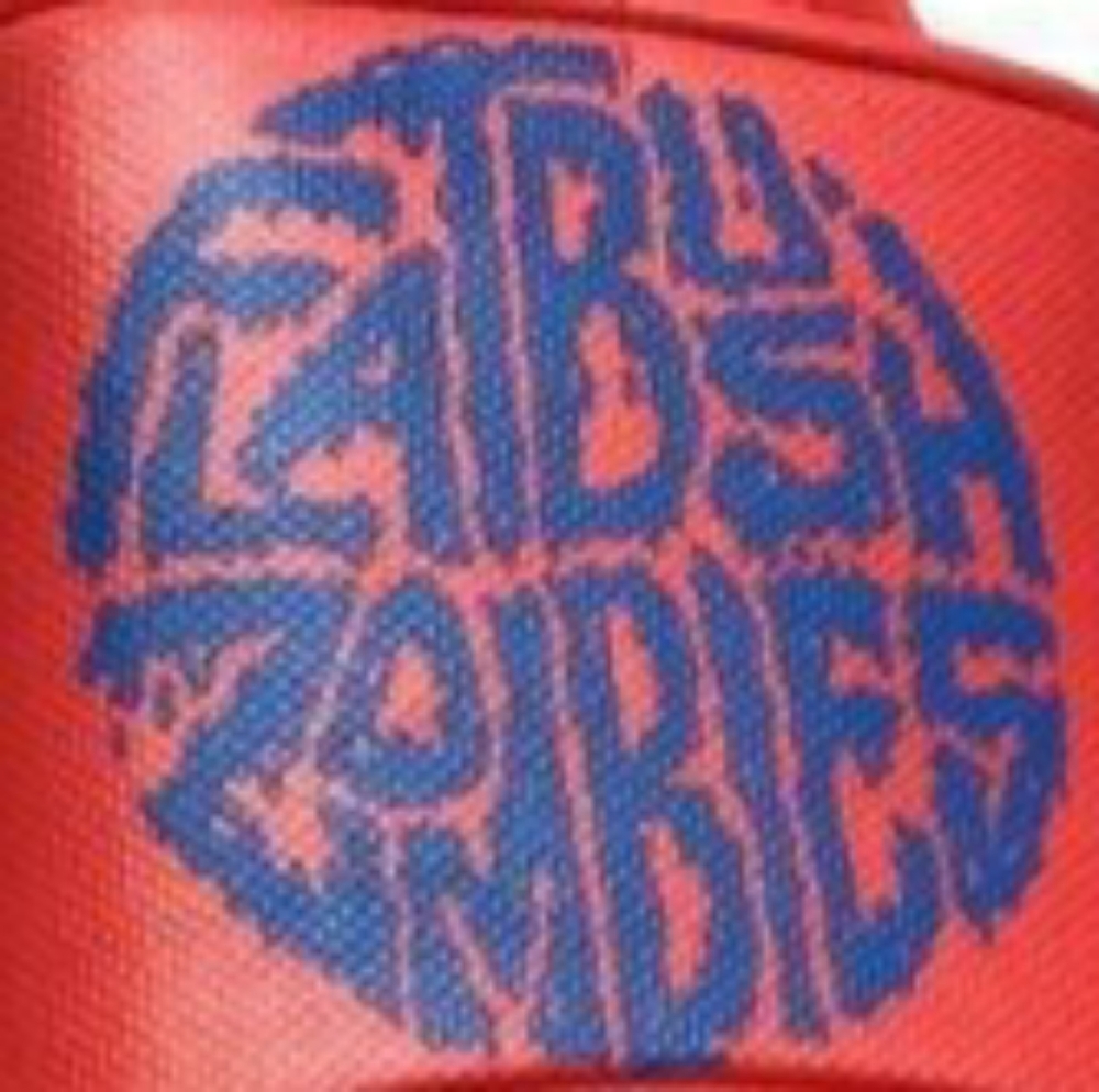 [SOLD] Flatbush Zombies Jupiter Sound Red Slide Sandals - Picture 10 of 15